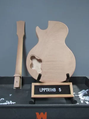 LPPTR1HB-5-back